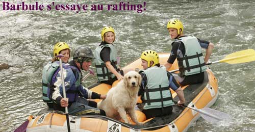 golden retriever : rafting